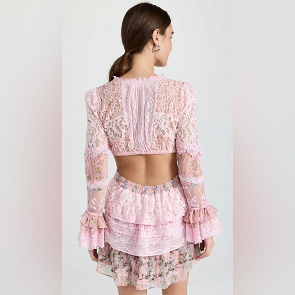Loveshake Fancy pink, open back mini lace embroidered dress - Picture 4 of 5